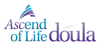 images__8_-removebg-preview